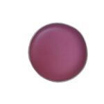 Arth Naturals Watermelon Delight Lip Balm- Natural Ingredients- Organic- Vegan- Halal Product-Unisex-8Gms- Shea Butter with Vit E- Cruelty Free- Non Alcoholic-Pink Lips-LIp Mask- - Fast UK Delivery