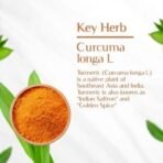Maharishi Ayurveda 100% OrganicTurmeric Capsules 500 MG |Boosts Immunity | Joint Support | Anti-Inflammatory | Supports Skin Health | 60 Capsules - Fast UK Delivery - Image 4