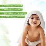 Mamaearth Milky Soft Shampoo with Oats, Milk and Calendula for Babies (400 ml) - Fast UK Delivery - Image 4