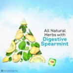Lipton Spearmint Green Tea with Lemongrass and Ginseng (25 Teabags) - Fast UK Delivery - Image 5