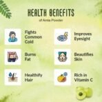 Nattfru Wheat Grass and Amla Juice Powder, Organic, 100% Natural and Real Fruit, No Preservatives - (14gm + 20gm) - Fast UK Delivery - Image 4