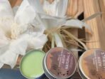 Arth Naturals -Kiwi & GreenApple Lip Balm- Unisex Proiiuuduct- Halal Product-Organic-Natural Ingredients- Vegan-Chapped-Dry-Dark lips-Shea Butter & Vit E- Women& Men-8 Gms- - Fast UK Delivery - Image 3