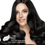 Nisha Hair Colour, No Ammonia Formula Hair Color, 60gm + 60ml- Black Shade 1.0 (Pack of 2) Fast Shipping to USA & Canada - Image 4