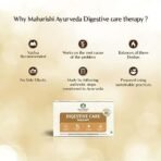 Maharishi Ayurveda Digestive Care Therapy - For Acidity & Gas Relief | Strengthens the Digestive System |Helps in Balancing Pitta Doshas | 100% Herbal (Amlant, Therapy or Combo or Kit) - Fast UK Delivery - Image 5