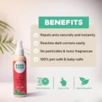 Born Good Natural Ant Repellent Spray | 100ml | Plant-Based, Biodegradable, Non-Toxic, Eco-Friendly, Organic, Herbal - Fast UK Delivery - Image 4