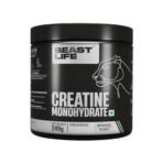 BEASTLIFE Super Micronized Creatine Monohydrate Unflavoured Powder |Premium Sports Nutrition|Nabl Lab Tested|Supports Athletic Performance & Power (249 G,Unflavoured),1 Count,83 Servings - Fast UK Delivery - Image 2