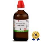 Bjain Andrographis Paniculata Q Mother Tincture, 100ml, Kalmegh Homeopathic Medicine - Fast UK Delivery - Image 3