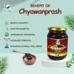 Organic Wellness Chyawanprash Ayurvedic Herbs 350 Gram Bottle Helps Build Strength & Stamina - Fast UK Delivery - Image 3