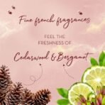 Camay Natural International Beauty Soap With Cedarwood&Bergamot(Buy 2 Get 1 Free) Combo Pack Offer,Indulging French Fragrance,Moisturizing Bathing Body Bar Soap Combo(3 Count,125G Each) - Fast UK Delivery - Image 5