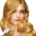 Nisha Cream Blonde Hair Color, 8.1 Golden Blonde, 90ml + 60gm, (Pack of 3) Fast Shipping to USA & Canada - Image 5