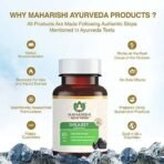 Maharishi Ayurveda Shilajeet Rasayana 500 MG | Natural & Pure Shilajit for Strength, Stamina & Endurance | 60 Tablets Pack of 2 - Fast UK Delivery - Image 3