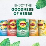 Lipton Herbal Infusion 20 Tea Bags Mint ( 20 X 1.8g ), 36g - Fast UK Delivery - Image 4