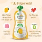 Paper Boat Alphonso Aam, Enriched with Vitamin D, No added Preservaties and Colours (Pack of 9, 150ml Each) - Fast UK Delivery - Image 5