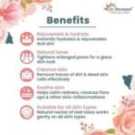 DR. MOREPEN Pure & Natural Rose Water for Face, Alcohol Free Toner - 120ml Pack of 5 - Image 5