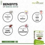 Attar Ayurveda Babul Gond Gum - Kikar Gond - Babool Gond - Acacia arabica Willd (250 Grams) - Fast UK Delivery - Image 6