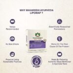 Maharishi Ayurveda Lipomap | Ayurvedic Medicine for Cholesterol Management| Highly Effective Herbs | Assists in managing daily stress (Cholesterol, 40 Count (Pack of 2)) - Fast UK Delivery - Image 7