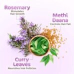 Mamaearth Rosemary Hair Growth Oil with Rosemary & Methi Dana for Promoting Hair Growth - 150 ml | Controls Hair Fall | Strengthens Hair - Fast UK Delivery - Image 6