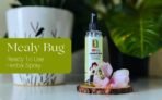 B Natural Herbal Mealy Bug Spray For Plants & Garden 100ml| 10 Minutes Result Guaranty|Removes Entire Mealy Bug Infestation|Powerful 100% Organic MealyBug Repellent Spray For Indoor & Outdoor Plants - Fast UK Delivery - Image 4