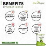 Attar Ayurveda 100% Natural Wheat Grass Powder (100 Gram) | Pure, Preservative free, Non-GMO | Immunity booster, De-Toxifying, Support healthy metabolism - Fast UK Delivery - Image 6