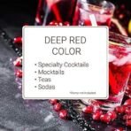 Monin Rich Red Pomegranate Syrup 1 Liter - Fast UK Delivery - Image 5