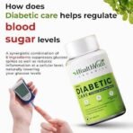 HEALTH VEDA ORGANICS PRIVATE LIMITED Diabetic Care Supplements with Karela, Gudmar, Jamun I 60 Veg Tablets I Manages Blood Sugar Levels I For Both Men & Women - Fast UK Delivery - Image 5