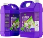 Parle Ropvatika Lavender Shower Gel 5 Liter Pack 2 (10 Liter) Body wash with Pure Glycerin (Lavender) - Fast UK Delivery - Image 2