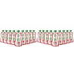 Paper Boat Lychee Juice, Litchi Jelly Drink Enriched with Vitamin D, No Added Preservatives and Colours (Pack of 18, 150ml each), Pink - Fast UK Delivery