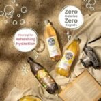 Paper Boat Ginger Lemon Sparkling Water, Pack of 6, 600ml Each | Carbonated Water | Zero Sugar, Zero Calories I Sugar Free - Fast UK Delivery - Image 5