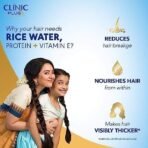 Clinic Plus Strong & Thick Shampoo with Rice water,Protein & Vitamin E for Hair Strengthening, Breakage Reduction and Thicker Hair,355 ml. - Fast UK Delivery - Image 4