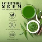 Deewal Premium Neem Clay Face Mask | 100% Vegan & Natural | Purifies & Nourishes | Antibacterial & Anti-Acne Face Mask | Hydrating & Detoxifying Clay Pack | Deep Cleansing for Clear & Glowing Skin | For All Skin Types - Fast UK Delivery - Image 6