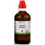 Bjain Carduus Marianus Q Mother Tincture, 100ml, Homeopathic Medicine - Fast UK Delivery