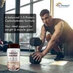 Dr. Morepen Weight Gainer/Gain Weight, Post Workout, 74 G Carbohydrate, 14.5G Protein, Healthy Fats (Irish Chocolate, 500G)|Pack Of 1 - Fast UK Delivery - Image 3