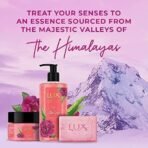 Lux Essence of Himalayas Rose & Aloe Vera Exfoliating soap 5 x 125 g - Fast UK Delivery - Image 5