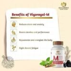 Maharishi Ayurveda Shilajit Tablets | Vigoroyal M- Infused with Original Shilajit | Natural Shilajeet - 60 tablets - Fast UK Delivery - Image 4
