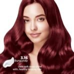 Nisha Cream Hair Colour 3.16 BURGUNDY (60gm + 60ml + 18ml Nisha Conditioner with Natural Herbs 100% Grey Hair Coverage) Pack of 3 - Fast UK Delivery - Image 5
