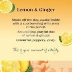 Twinings Lemon & Ginger 20 Single Tea Bags - 4 Pack, 4 X 30 g - Fast UK Delivery - Image 4