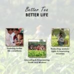 Twinings Darjeeling Green Whole Leaf Tea, 50 G, Loose Tea, Delicate Flavor, Mystical & Enchanting - Fast UK Delivery - Image 6