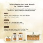 Maharishi Ayurveda Digestive Care Therapy - For Acidity & Gas Relief | Strengthens the Digestive System |Helps in Balancing Pitta Doshas | 100% Herbal (Amlant, Therapy or Combo or Kit) - Fast UK Delivery - Image 3