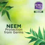 BoroPlus Antiseptic And Moisturising Bathing Neem Soap With Neem, Tea Tree, Aloe Vera & Shea Butter | 99.9% Germ And Virus Protection | For Smooth, Soft, Moisturised & Nourished Skin, 125G (Pack Of 6) - Fast UK Delivery - Image 7