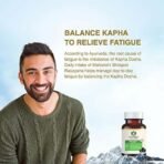 Maharishi Ayurveda Shilajeet Rasayana 500 MG | Natural & Pure Shilajit for Strength, Stamina & Endurance | 60 Tablets Pack of 2 - Fast UK Delivery - Image 5