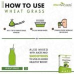 Attar Ayurveda 100% Natural Wheat Grass Powder (100 Gram) | Pure, Preservative free, Non-GMO | Immunity booster, De-Toxifying, Support healthy metabolism - Fast UK Delivery - Image 7