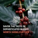 Davidoff Crema Elegant Harmonious & Aromatic Whole Beans Coffee - 6/12 Intensity - 100% Arabica - 500G - Fast UK Delivery - Image 6