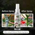 B Natural Herbal Mealy Bug Spray For Plants & Garden 100ml| 10 Minutes Result Guaranty|Removes Entire Mealy Bug Infestation|Powerful 100% Organic MealyBug Repellent Spray For Indoor & Outdoor Plants - Fast UK Delivery - Image 6