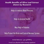 HealthyHey Nutrition Olive Leaf Extract | Super Strength: 10% Oleuropein -120 Vegetarian Capsules - Fast UK Delivery - Image 7