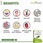 Attar Ayurveda Pure Moringa Leaf Powder for Weight Loss -400 Grams - Fast UK Delivery - Image 6