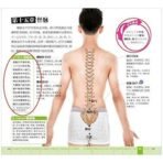 FA INDUSTRIESWooden 10 Roller Massager Acupressure Back Massager Back Pain Relief Massager Multi Purpose Body Massager & Wooden Face Massager (Brown) Pack of 2 - Fast UK Delivery - Image 7