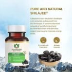Maharishi Ayurveda Shilajeet Rasayana 500 MG | Natural & Pure Shilajit for Strength, Stamina & Endurance | 60 Tablets Pack of 2 - Fast UK Delivery - Image 4
