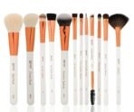 Recode Brush 12-pcs Set with Premium Rose Gold Pouch Combo - Fast UK Delivery