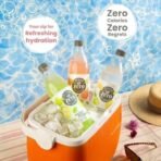 Paper Boat Lemon Lime Sparkling Water, Pack of 6, 600ml Each | Carbonated Water | Zero Sugar, Zero Calories I Sugar Free - Fast UK Delivery - Image 7