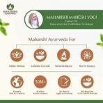 Maharishi Ayurveda Vidyarthi Amrit 200 ml Pack of 2 - Fast UK Delivery - Image 6